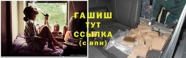сатива Арсеньев