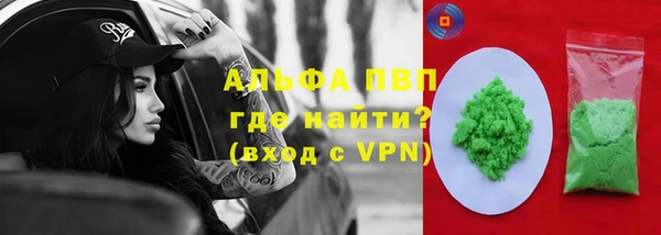 сатива Арсеньев