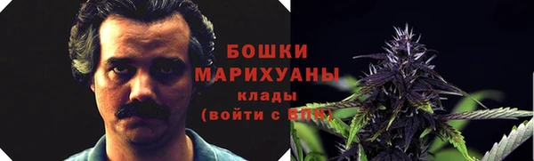 сатива Арсеньев