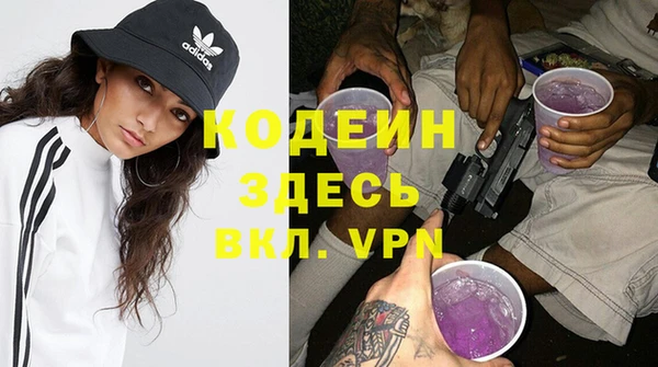 сатива Арсеньев